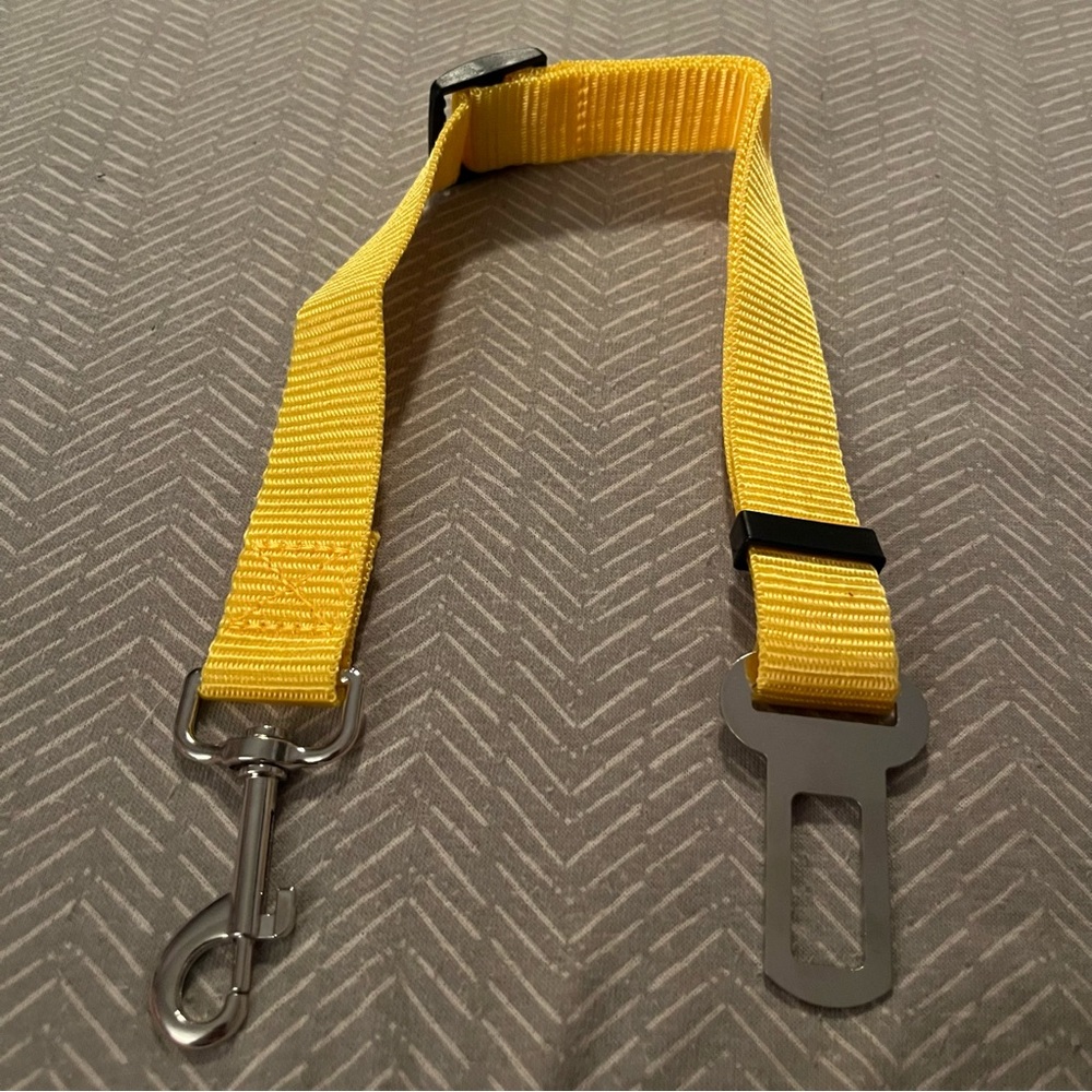 PET SEATBELT